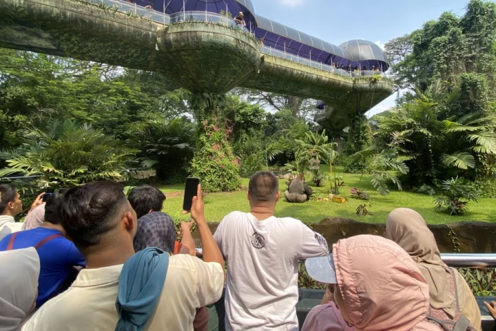 Gratis! Ancol, Ragunan, Monas, Transportasi Umum di Jakarta