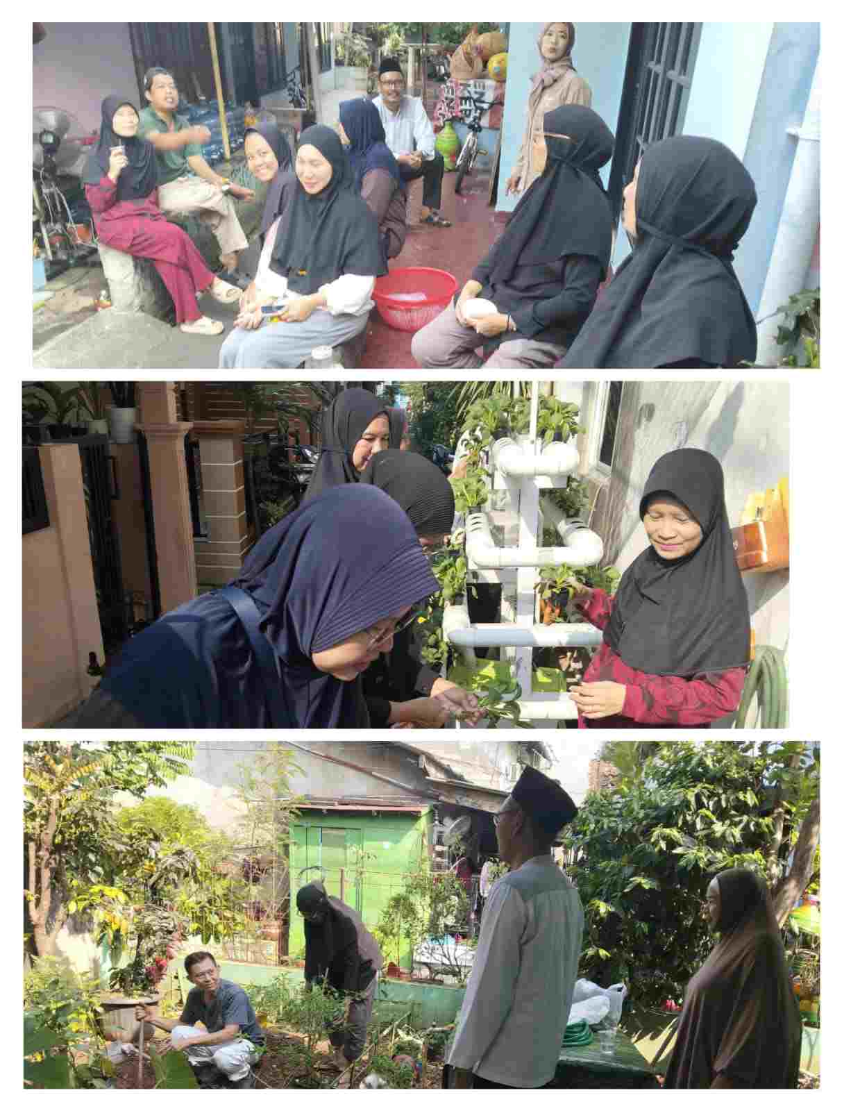 gang hijau rw 09 grogol selatan panen hidroponik