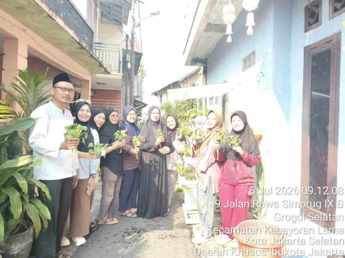 Berdayakan Gang Hijau, Poktan RW 09 Grogol Selatan Sukses Panen Hidroponik dan Pindah Tanam Cabai