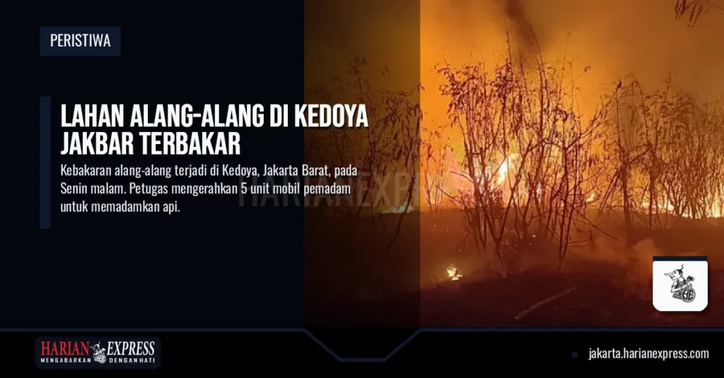 Lahan Alang-Alang di Kedoya Jakbar Terbakar