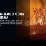 Lahan Alang-Alang di Kedoya Jakbar Terbakar