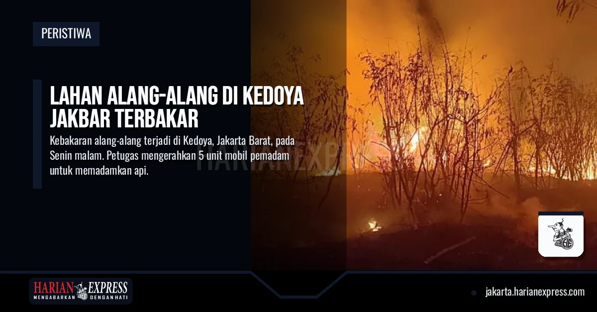 Lahan Alang-Alang di Kedoya Jakbar Terbakar