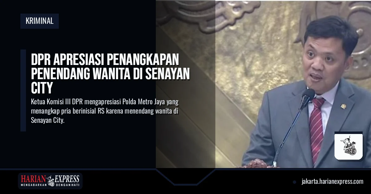 DPR Apresiasi Penangkapan Penendang Wanita di Senayan City