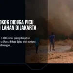 Puntung Rokok Diduga Picu Kebakaran Lahan di Jakarta Utara