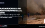 Puntung Rokok Diduga Picu Kebakaran Lahan di Jakarta Utara