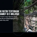 Pemprov DKI Rutin Tertibkan Kabel Semrawut di 5 Wilayah