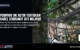 Pemprov DKI Rutin Tertibkan Kabel Semrawut di 5 Wilayah