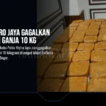 Polda Metro Jaya Gagalkan Peredaran Ganja 10 Kg
