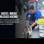Sudin KPKP Jaksel Imbau Warga Sterilisasi Kucing