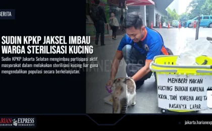 Sudin KPKP Jaksel Imbau Warga Sterilisasi Kucing