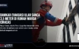 Damkar Evakuasi Ular Sanca 3,5 Meter di Rumah Warga Ciracas