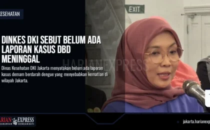 Dinkes DKI Sebut Belum Ada Laporan Kasus DBD Meninggal