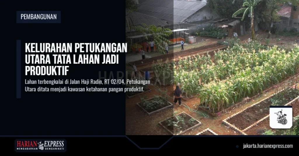 Kelurahan Petukangan Utara Tata Lahan Jadi Produktif