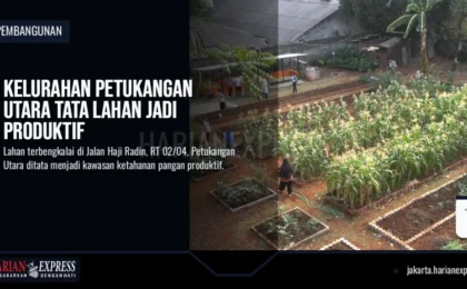 Kelurahan Petukangan Utara Tata Lahan Jadi Produktif